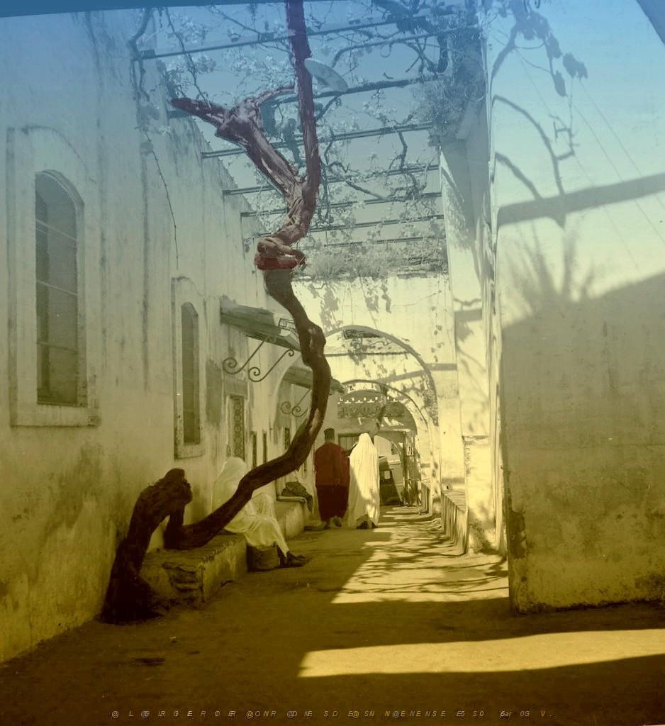 Tlemcen 504- Rue dans vieux Tlemcen COLLECTION DES AMIS DE ND DE SANTA CRUZ.jpg